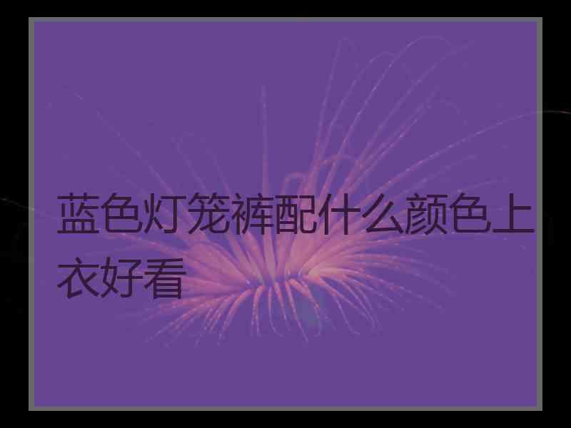 蓝色灯笼裤配什么颜色上衣好看 蓝色灯笼裤配什么颜色上衣好看