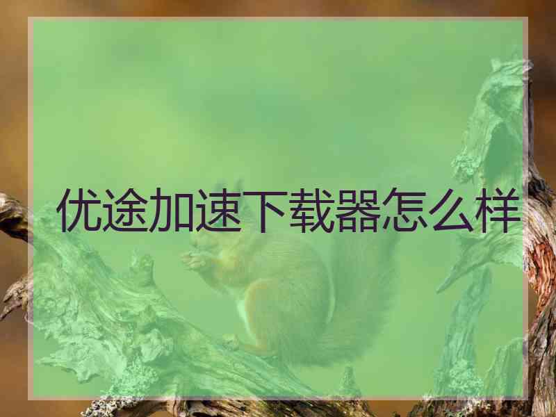 优途加速下载器怎么样 优途加速下载器怎么样
