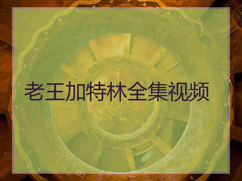 老王加特林全集视频 老王加特林全集视频