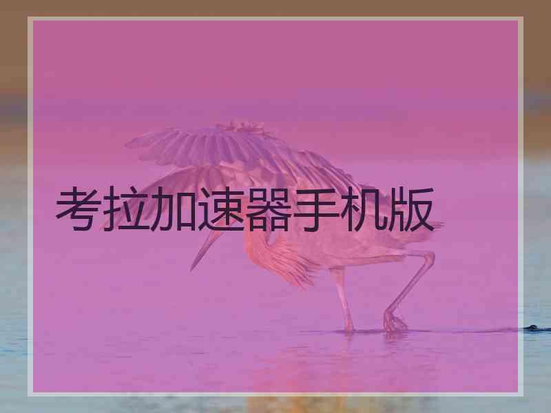 考拉加速器手机版 考拉加速器手机版