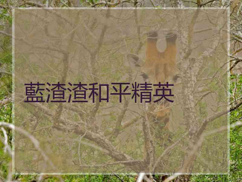 藍渣渣和平精英 藍渣渣和平精英