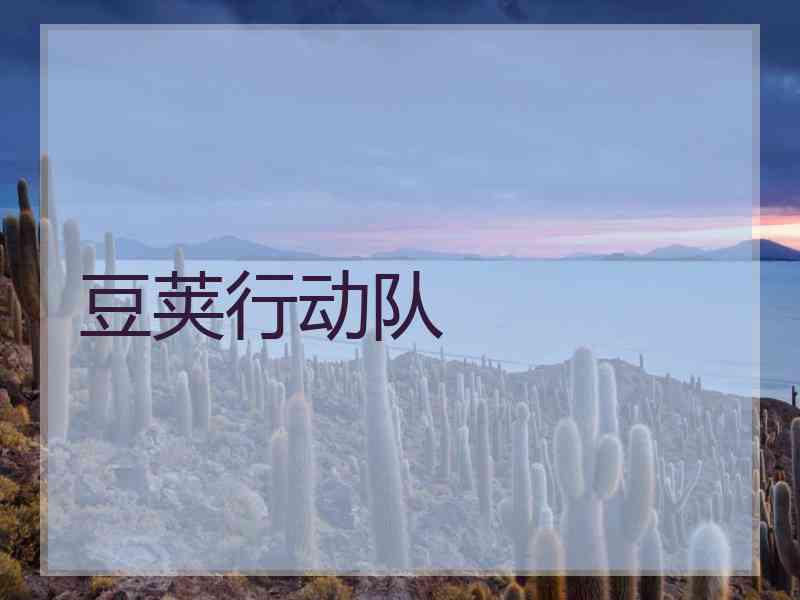 豆荚行动队 豆荚行动队