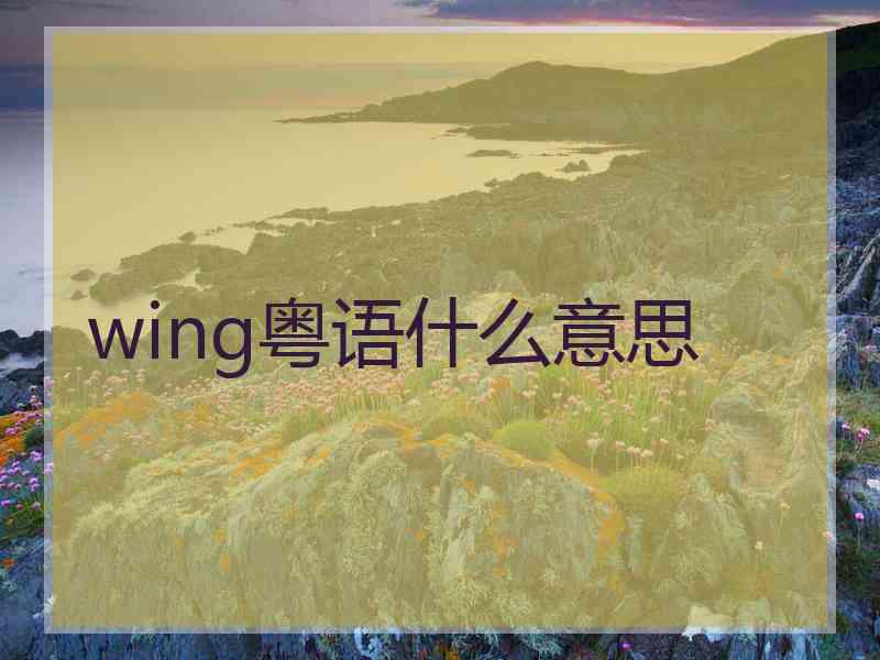 wing粤语什么意思 wing粤语什么意思