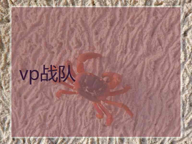 vp战队 vp战队