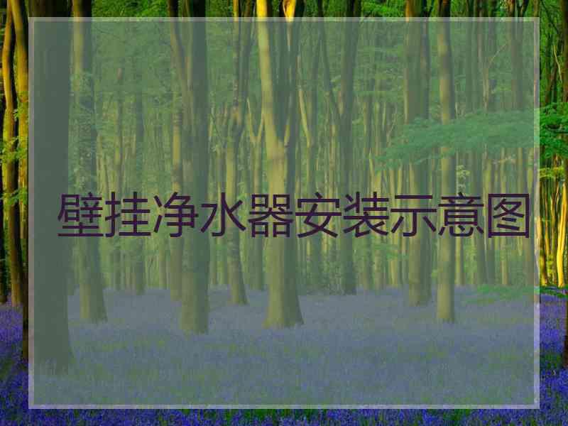 壁挂净水器安装示意图 壁挂净水器安装示意图