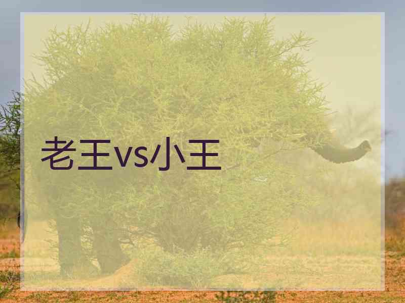 老王vs小王 老王vs小王