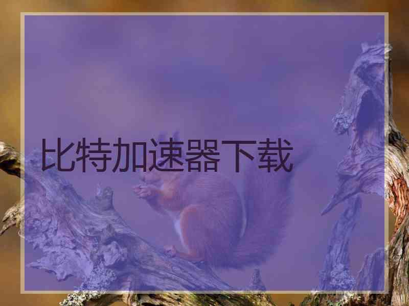 比特加速器下载