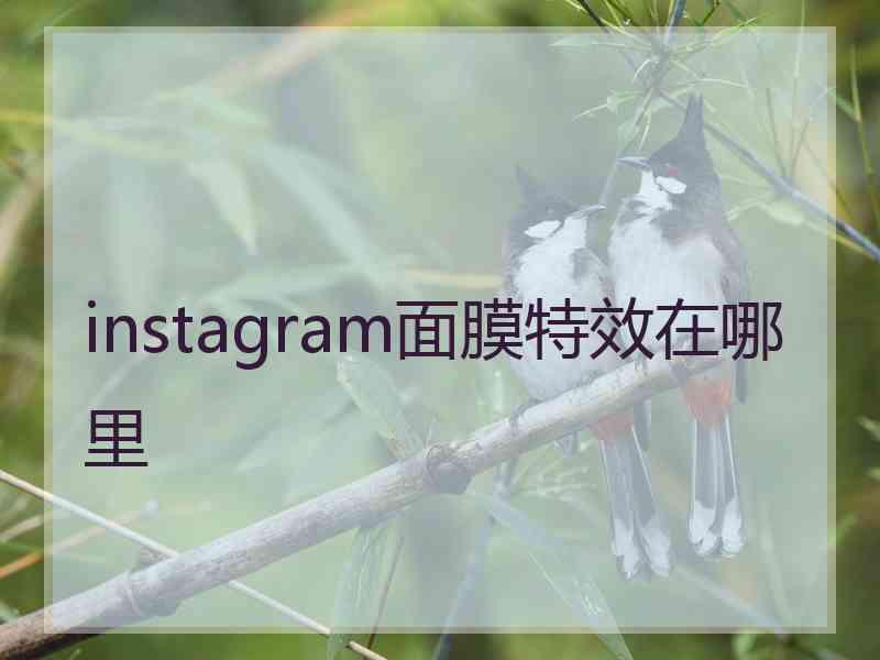 instagram面膜特效在哪里 instagram面膜特效在哪里