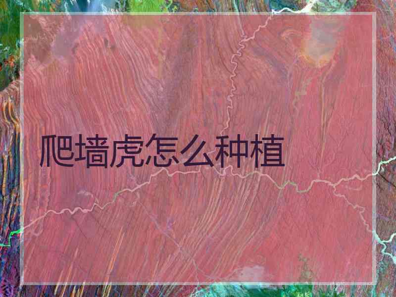 爬墙虎怎么种植 爬墙虎怎么种植