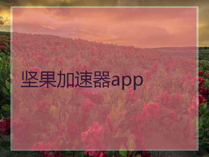 坚果加速器app