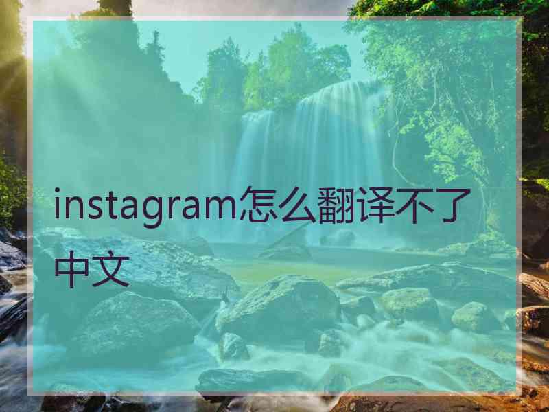 instagram怎么翻译不了中文 instagram怎么翻译不了中文