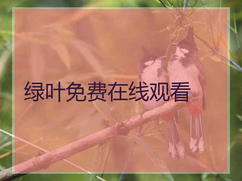 绿叶免费在线观看 绿叶免费在线观看
