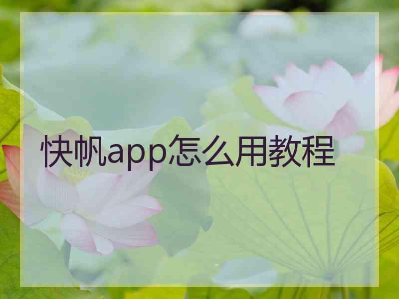 快帆app怎么用教程 快帆app怎么用教程