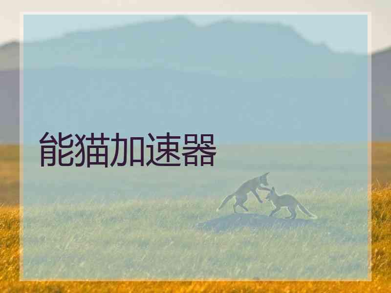能猫加速器 能猫加速器