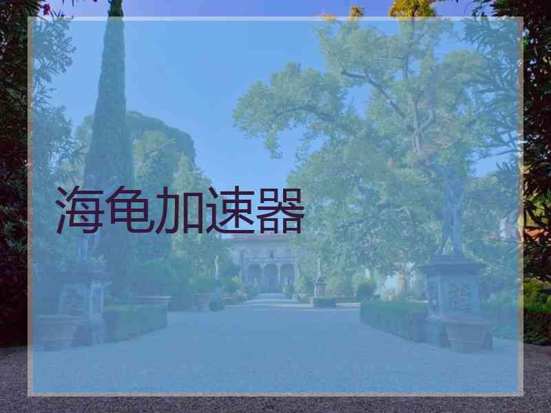 海龟加速器 海龟加速器