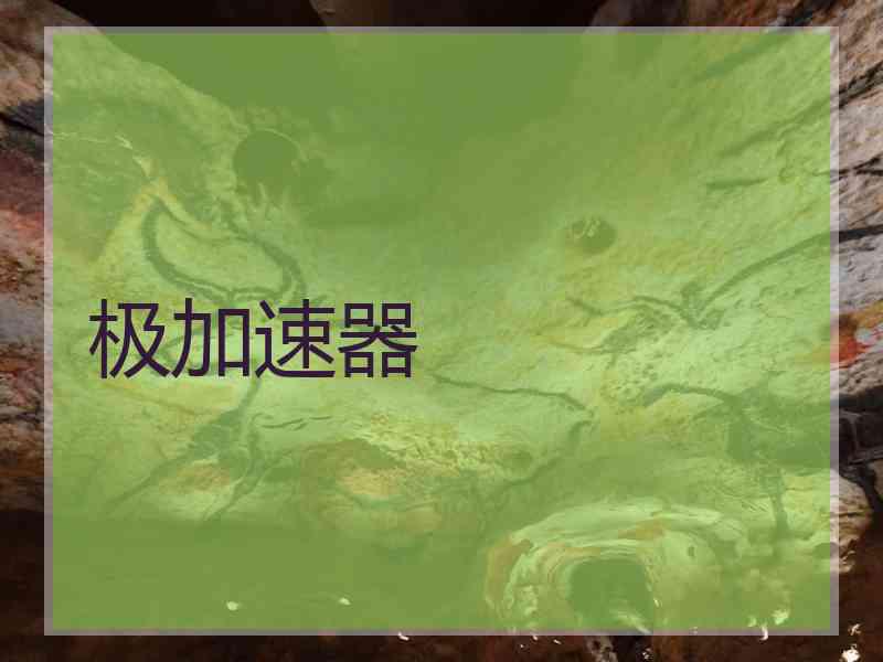极加速器 极加速器