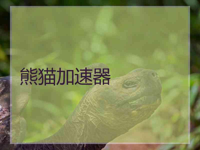 熊猫加速器