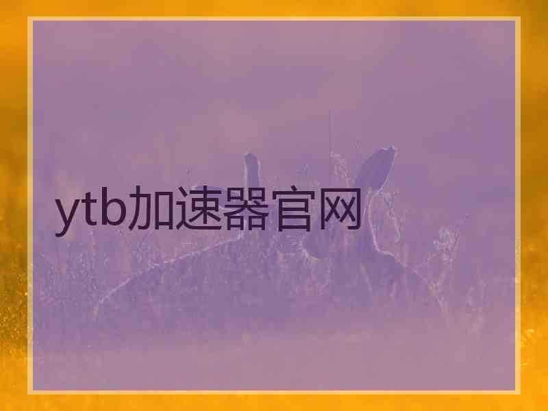 ytb加速器官网