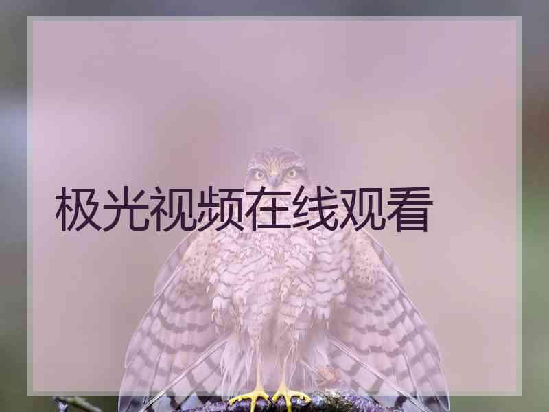 极光视频在线观看