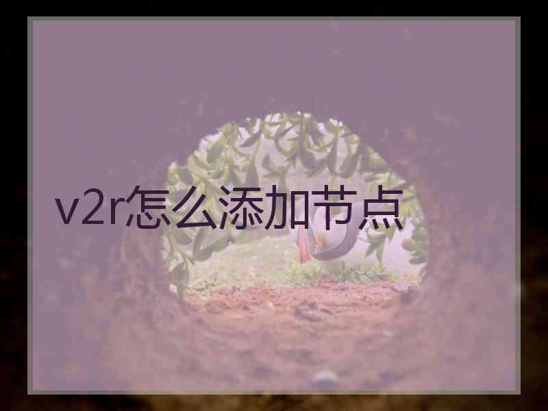 v2r怎么添加节点