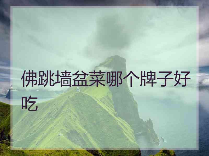 佛跳墙盆菜哪个牌子好吃