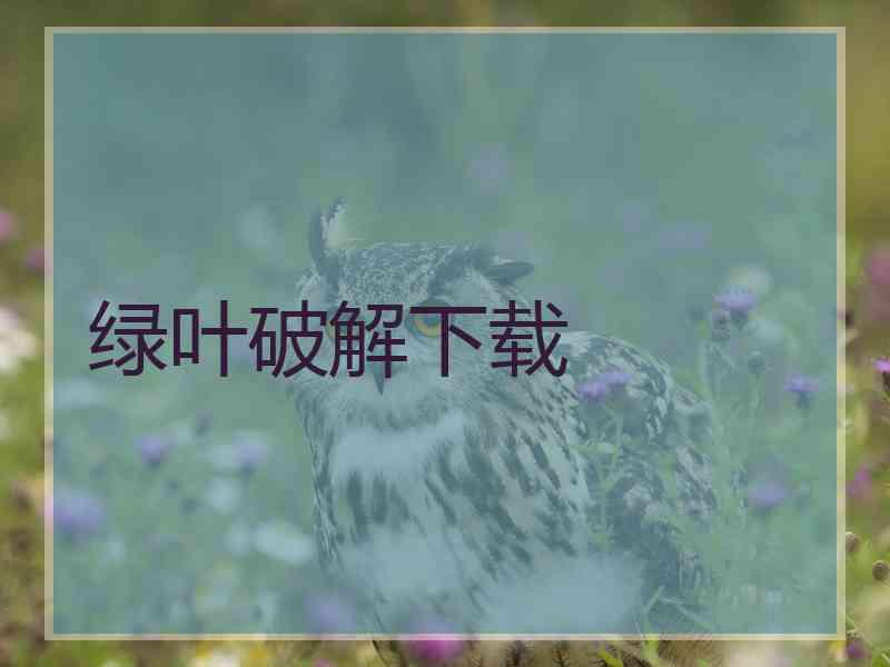 绿叶破解下载