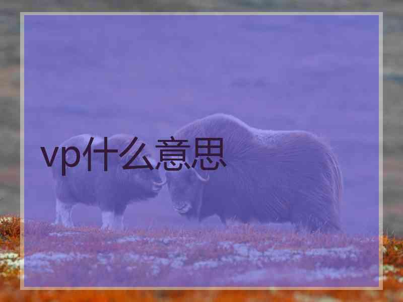 vp什么意思