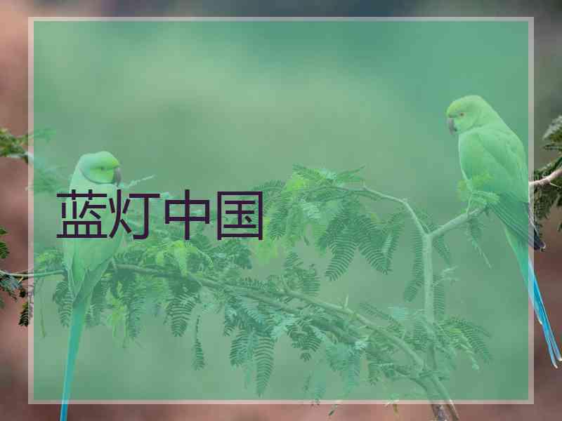 蓝灯中国