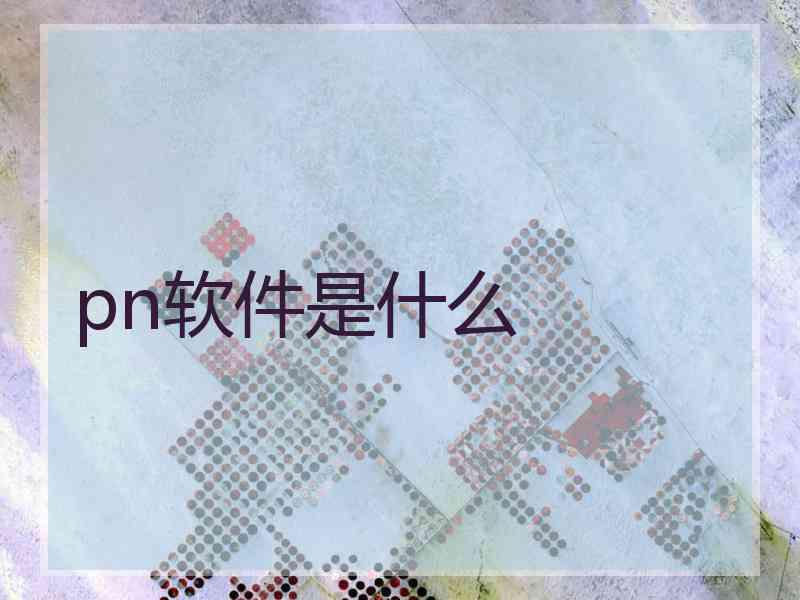 pn软件是什么