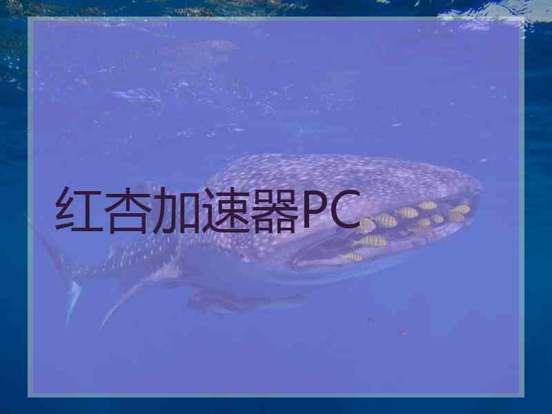 红杏加速器PC