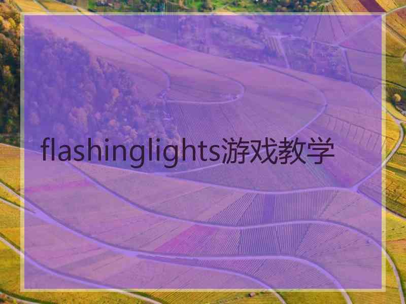 flashinglights游戏教学