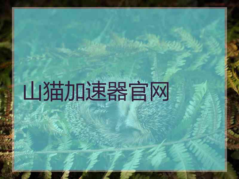 山猫加速器官网