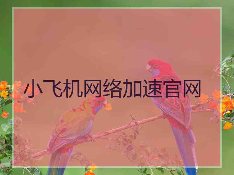 小飞机网络加速官网