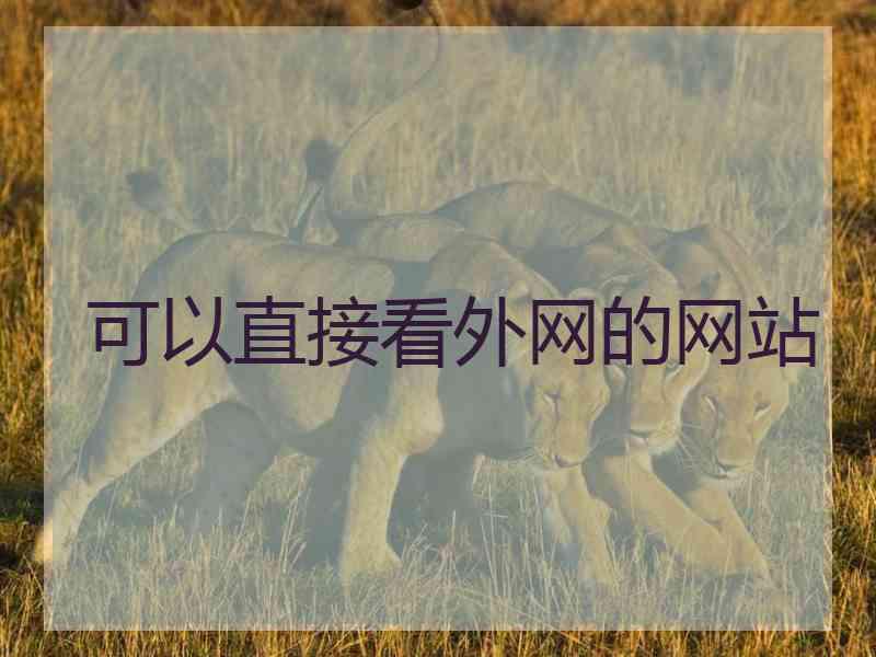 可以直接看外网的网站