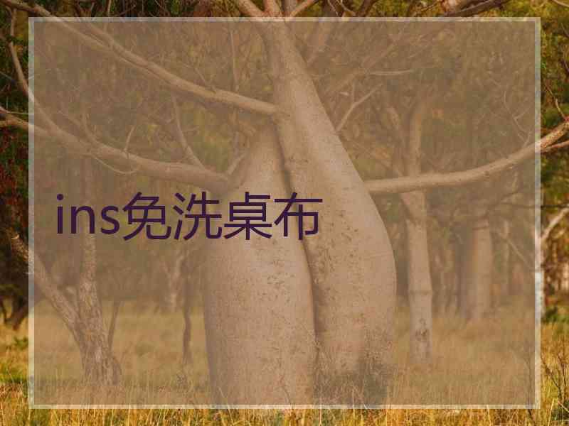 ins免洗桌布