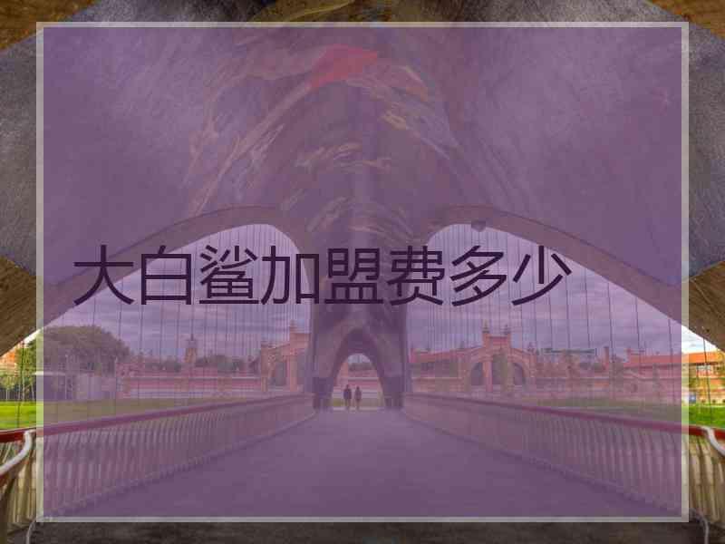 大白鲨加盟费多少