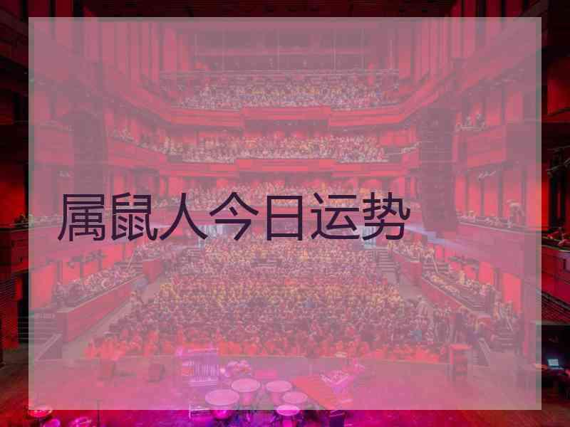 属鼠人今日运势