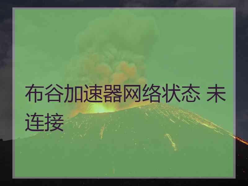 布谷加速器网络状态 未连接