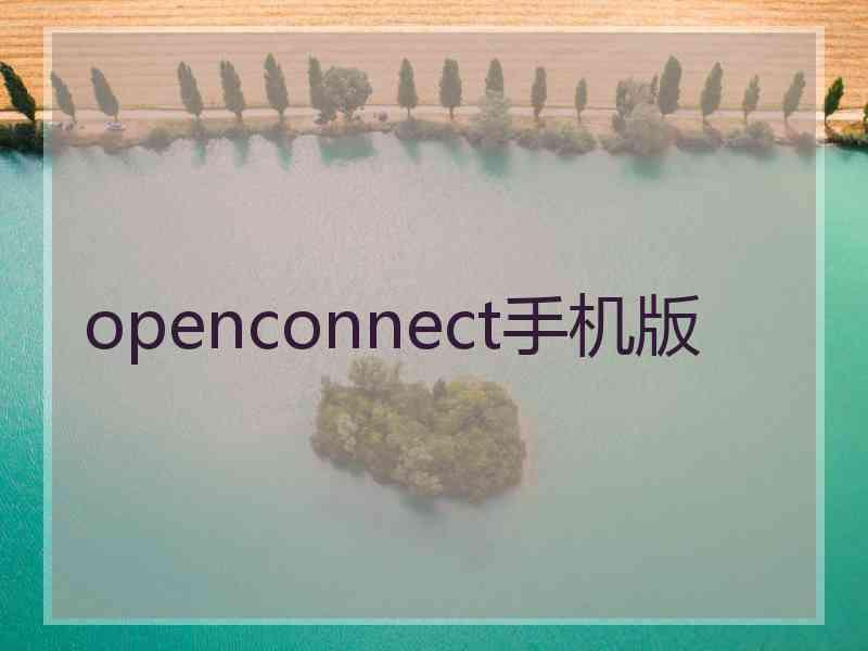 openconnect手机版