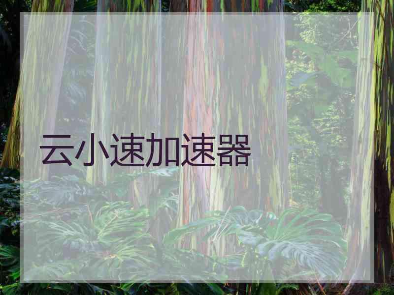 云小速加速器