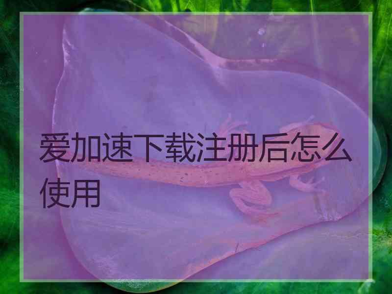 爱加速下载注册后怎么使用