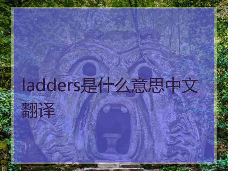 ladders是什么意思中文翻译