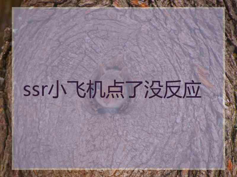 ssr小飞机点了没反应