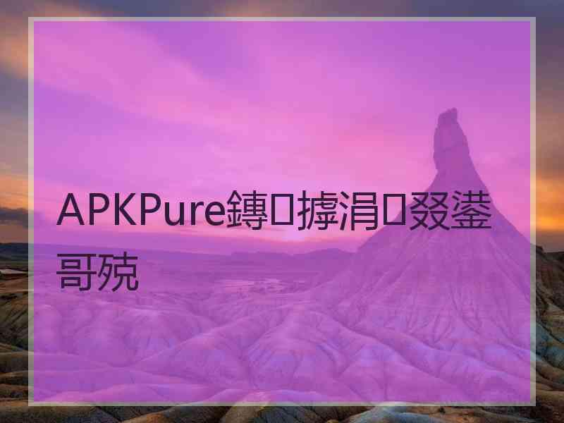APKPure鏄摢涓叕鍙哥殑