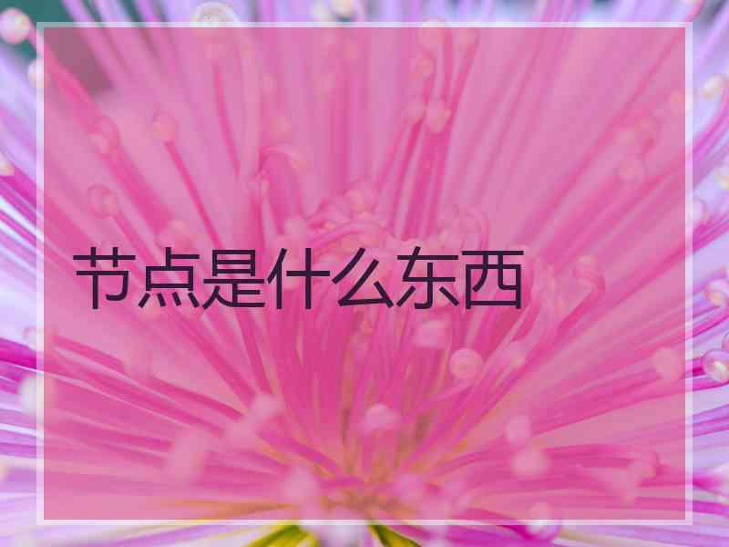 节点是什么东西