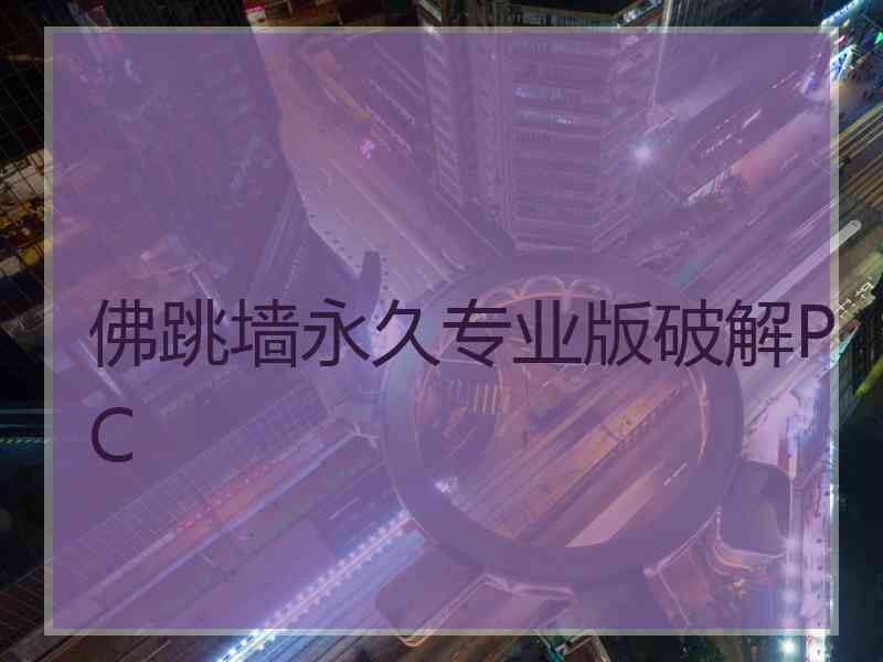 佛跳墙永久专业版破解PC
