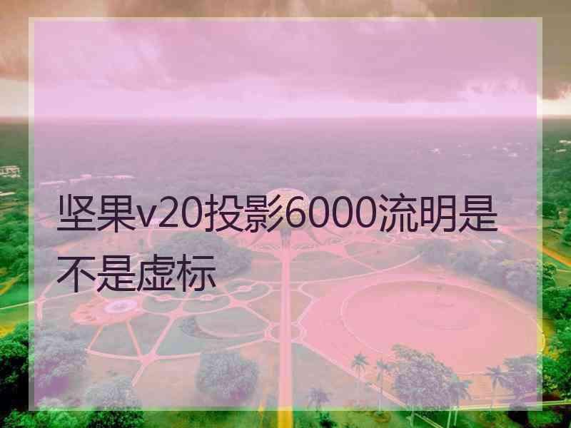 坚果v20投影6000流明是不是虚标