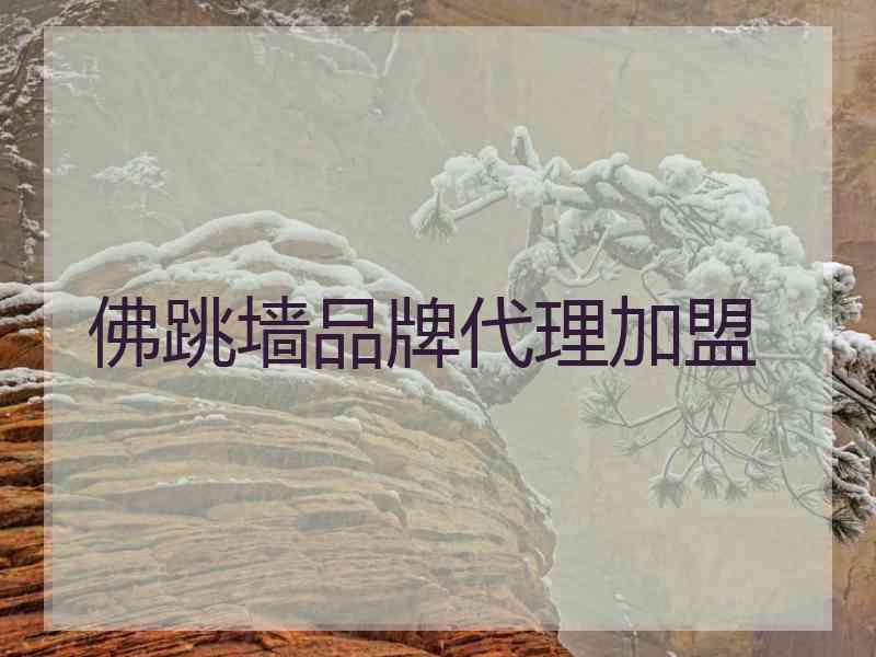 佛跳墙品牌代理加盟