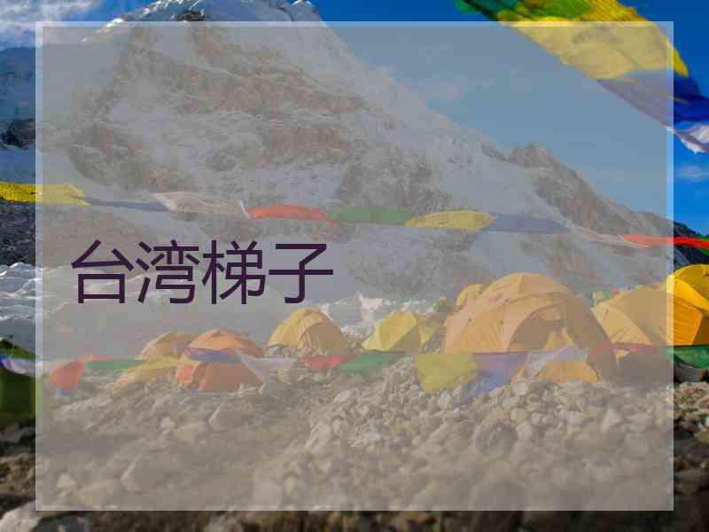 台湾梯子
