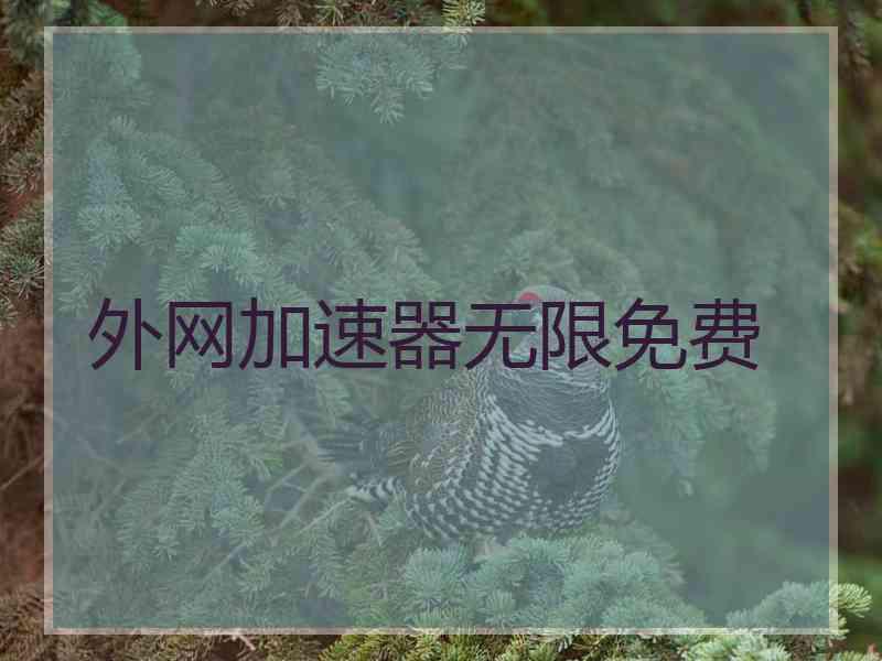 外网加速器无限免费